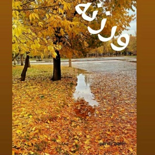 Telegram profile photo for ❤"اَخبار"وَرزَنه"❤