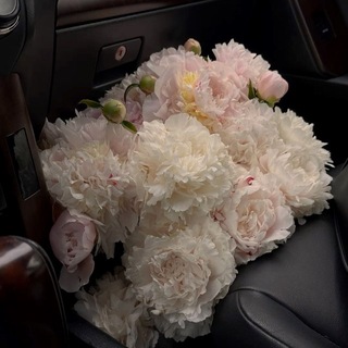Telegram profile photo for سفير الحنان