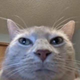 Telegram profile photo for Тиджой - уведомления о стримах