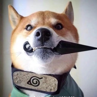 Telegram profile photo for 百家讲坛
