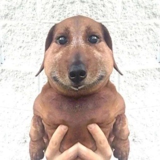 Telegram profile photo for manyahleb