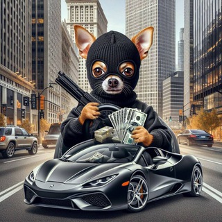Telegram profile photo for LordyCalls
