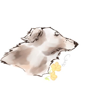Telegram profile photo for 😶🌫