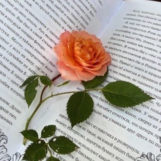 Telegram profile photo for Книжный переулок 24/7