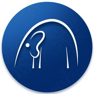 Telegram profile photo for КомуСлона