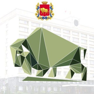 Telegram profile photo for МОЛОДЕЖНЫЙ СОВЕТ