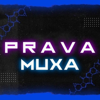 Telegram profile photo for Prava Muxa