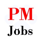 Telegram profile photo for Jobs for IT PM (Project & Product Managers)