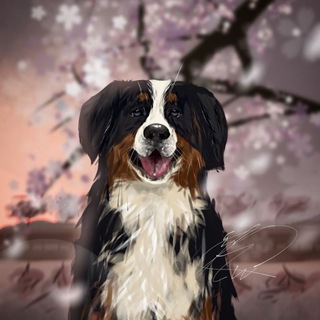 Telegram profile photo for Пастуший берн