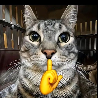 Telegram profile photo for MMH channel