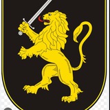 Telegram profile photo for IGP necapturat