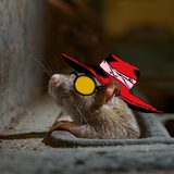 Telegram profile photo for Ленивая жопка 🐸