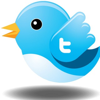 Telegram profile photo for AN PHAT CAPITAL TWEETODAY