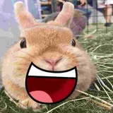 Telegram profile photo for ︎ ︎ ᅠ ︎ ︎ ︎ ︎ ︎ ︎ ᅠ ︎ ︎