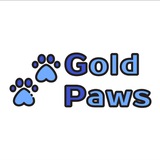 Telegram profile photo for Gold Paws/Золотые лапки🐾