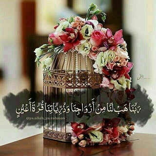 Telegram profile photo for تعالوا نملأ بيوتنا حب