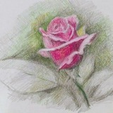 Telegram profile photo for Fineart2dayGallery