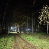 Telegram profile photo for ОТЗЫВЫ | РЕПА Blazwer