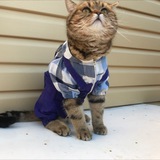 Telegram profile photo for Дневник тусовщицы