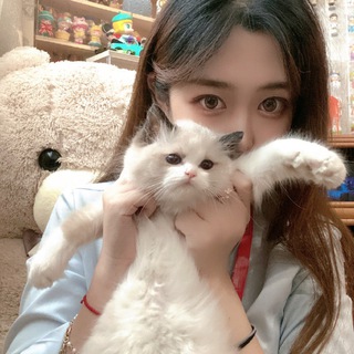 Telegram profile photo for 雅🐬心中部選妹專區(臺中.彰化.南投)