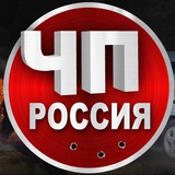 Telegram profile photo for ЧП Россия|Новости | Курск