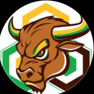 Telegram profile photo for Blockchain bullhorn π