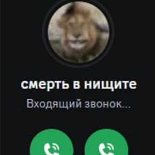 Telegram profile photo for B1yattu пытаеца「16+」