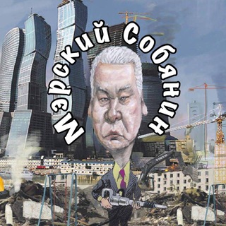 Telegram profile photo for Мэрский Собянин