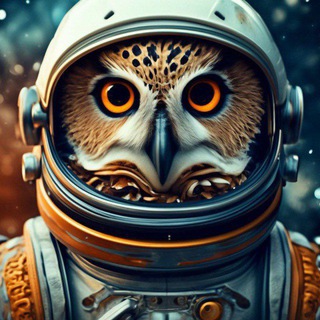 Telegram profile photo for Гостиный Двор 2026