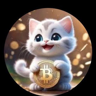 Telegram group profile photo for CAT
