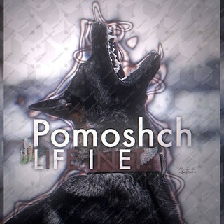 Telegram profile photo for 🏔️Pomoshch Life inet🪽
