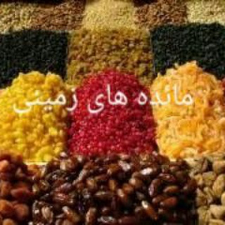 Telegram profile photo for مائده های زمینی