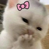 Telegram profile photo for g(a)iggle