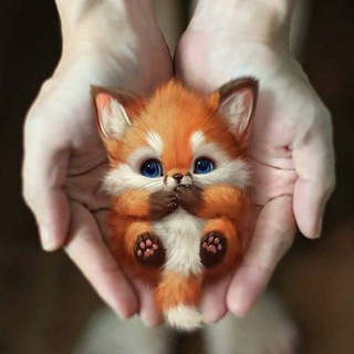 Telegram profile photo for Животные Ташкента