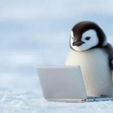 Telegram profile photo for pingvinchuk