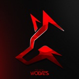 Telegram profile photo for The Real Wolves