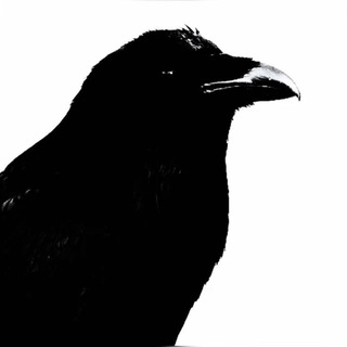Telegram profile photo for чери || (cheri lady) 🕸