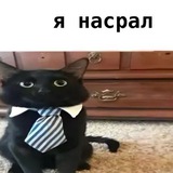 Telegram profile photo for янасрал