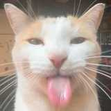 Telegram profile photo for SILI CLUB PORTAL