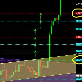 Telegram profile photo for Daily Forex Analysis