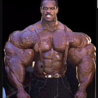 Telegram profile photo for /fit/ - Definitely Not Gay Lifter's