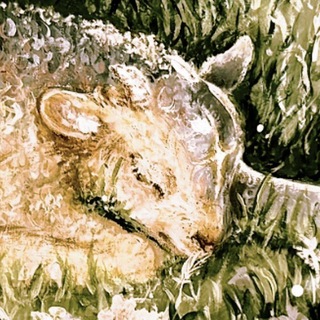 Telegram profile photo for ☮иешуа га-ноцри