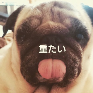 Telegram profile photo for CHERRY XDDDD