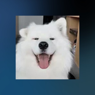 Telegram profile photo for Booking Info / Requirements HUB