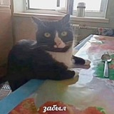 Telegram profile photo for РЕЗЫЗЫЗЫЗЫ