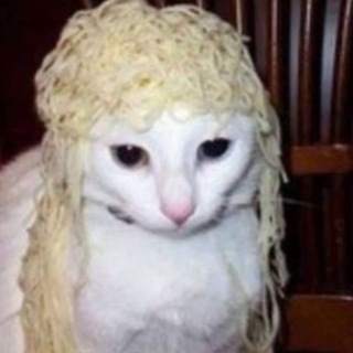 Telegram group profile photo for лапшичная