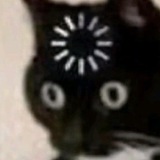 Telegram profile photo for shitposts of mine (or not)