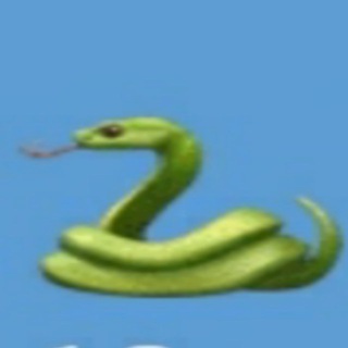 Telegram profile photo for 🐍Пиар Группа🐍