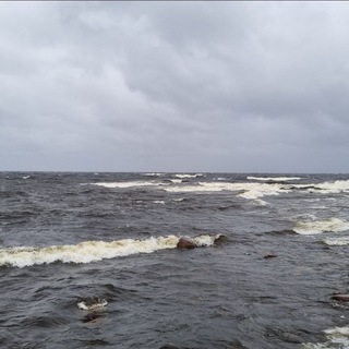 Telegram profile photo for Sandbox