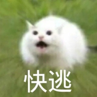 Telegram profile photo for 友善迷因群